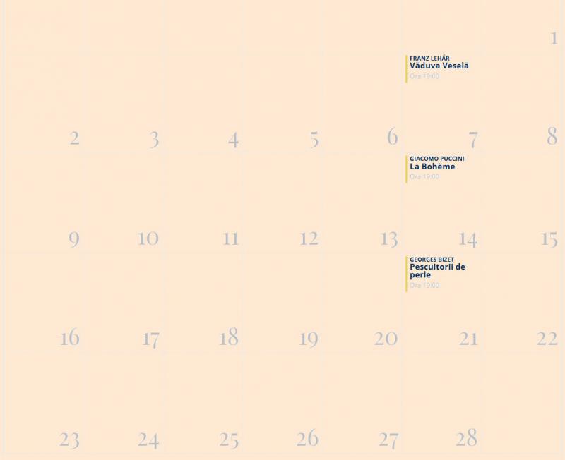 Program februarie 2026